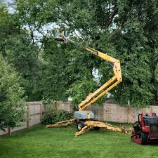 Best Tree Trimming and Pruning  in Cullowhee, NC