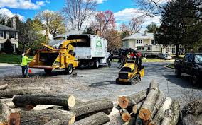 Best Firewood Processing and Delivery  in Cullowhee, NC